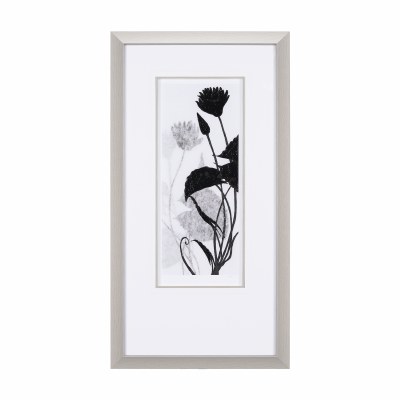 44" x 24" Floral Silhoutte 3 Framed Print Under Glass