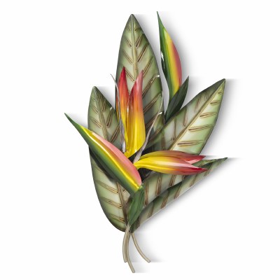 28" x 18" Natural Bird of Paradise Tropical Metal Wall Art Plaque MM012N