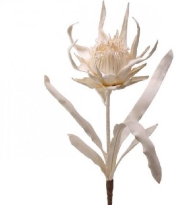 40" Faux Ivory Protea
