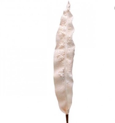 37" Faux Ivory Foam Calla Leaf