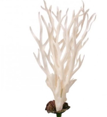 28" Faux Ivory Coastal Fern