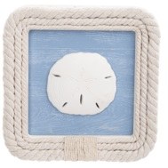 10" Square White Sand Dollar With a Blue Background and Rope Coastal Wall Art Plaque