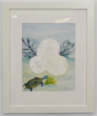 22" x 18" Blue Sand Dollar Print in a White Frame Under Glass