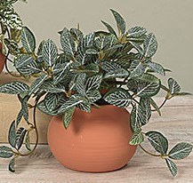 7" Faux Vein Leaf Plant in a Terracotta Pot