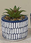 3" Faux Short Aloe Plant in a Blue and White Pot