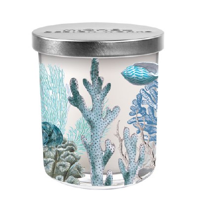 7.4 Oz The Shore Fragrance Glass Jar Candle