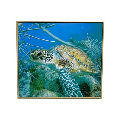 36" x 40" Sea Turtle Under the Sea Framed Canvas