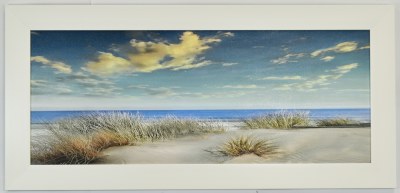 22" x 46" Beach Grass Gel Textured Coastal Print in a White Frame