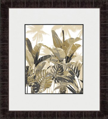 35" x 31" Palm 1 Tropical Framed Print Under Glass