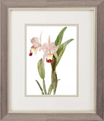 11" x 9" Pink Orchids Framed Print Under Glass
