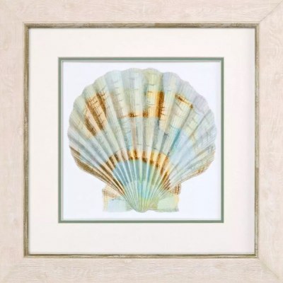 20" Sq Multipastel Scallop Shell 1 Framed Coastal Print Under Glass