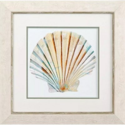 20" Sq Multipastel Scallop Shell 4 Framed Coastal Print Under Glass