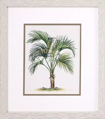 16" x 14" Low Palm Tree Framed Tropical Print Under Glass