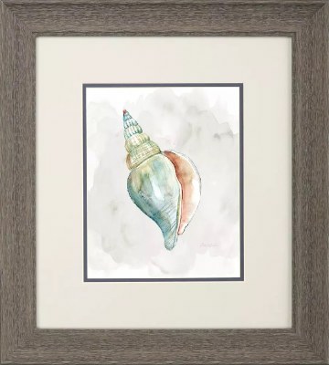 18" x 16" Shell With Blue on the Inside Framed Coastal Print Under Glass