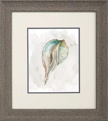 18" x 16" Shell With Pink on the Inside Framed Coastal Print Under Glass