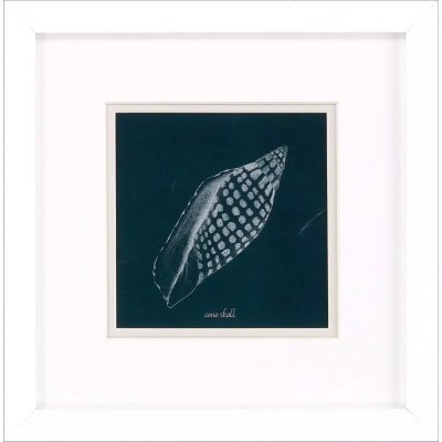 11" Navy Cone Shell Framed Coastal Print Under Glass