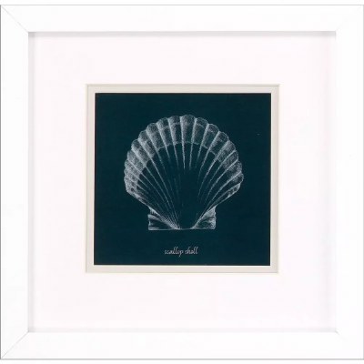 11" Navy Scallop Shell Framed Coastal Print Under Glass
