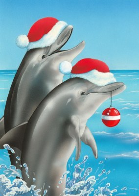 Box of 16 Lux Matte Finish Dolphin in Santa Hats Christmas Cards size 8" x 6"