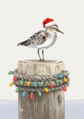 Box of 16 Lux Matte Finish Sandpiper on a Piling Christmas Cards size 8" x 6"