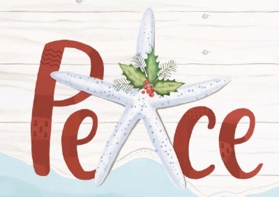 Box of 16 8" x 6" Starfish "Peace" Lux Matte Finish Christmas Cards