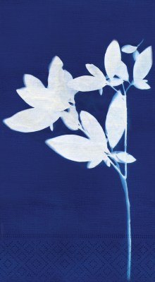 8" x 4" White Flowers on Navy Guest Towels