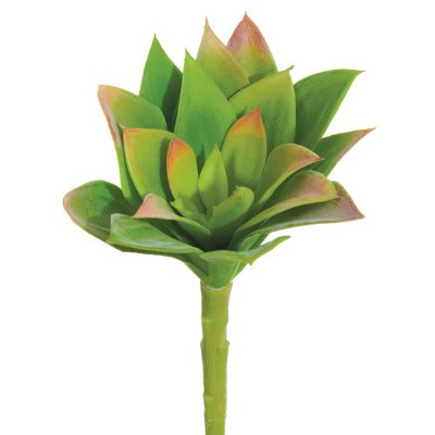 6" Faux Green and Burgundy Echeveria Pick