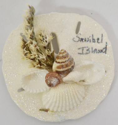 Sanibel Island Natural Shell Cluster Sand Dollar Magnet