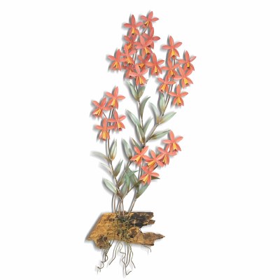 31" x 12" Multicolor Metal Radican Orchid With Gamal Wood Botanical Wall Art Plaque MM928