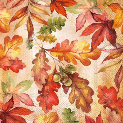 5" Square Bright Autumn Beverage Napkins