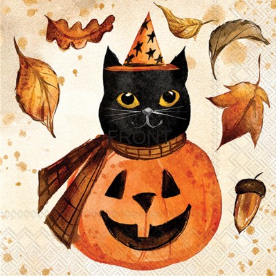 5" Square Cat in a Jack-O-Lantern Beverage Napkins