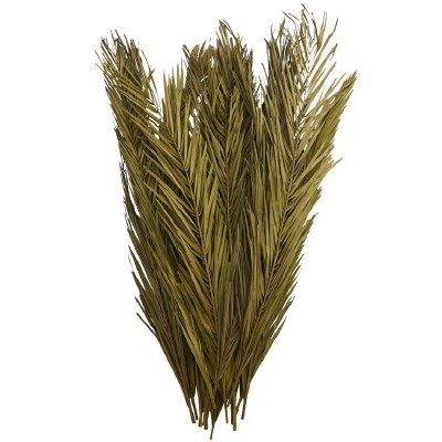 Bundle of 44" Green Dried Palm Fronds
