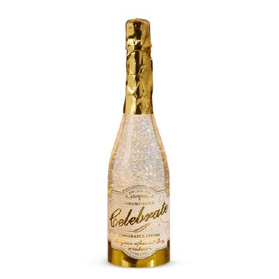 13" LED Champagne Bottle Swirl Water Globe