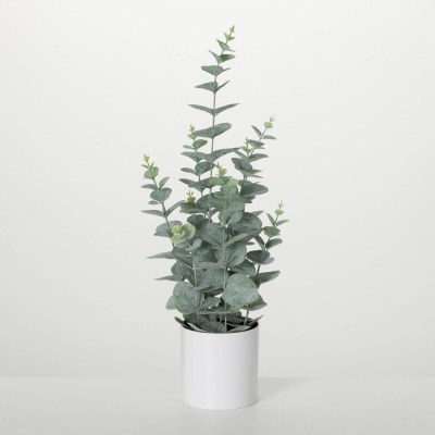 21" Faux Frost Green Eucalyptus Potted Plant