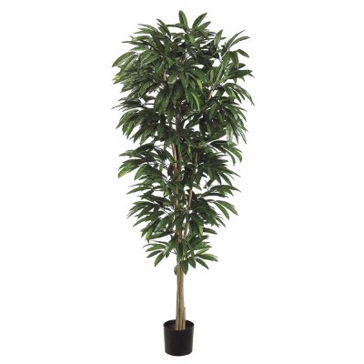6.5' Faux Two Toned Green Mango Tree in a Black Pot