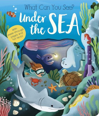What Can You See Under The Sea Children's Book
