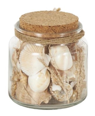 5" Brown Seashells in a Glass Jar