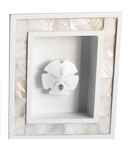 7" x 6" Sand Dolalr in a Shadow Box
