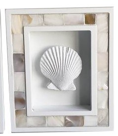 7" x 6" Scallop Shell in a Shadow Box