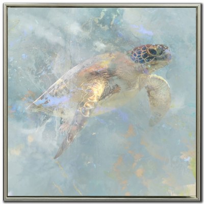 24" Sq Oceanic Turtle 1 Coastal Canvas Framed