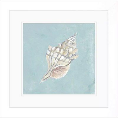 19" Sq Taupe Whelk Shell on a Turquoise Background Framed Coastal Print Under Glass