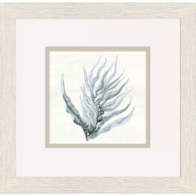 11" Sq Green Seaweed Framed Coastal Print Under Glass