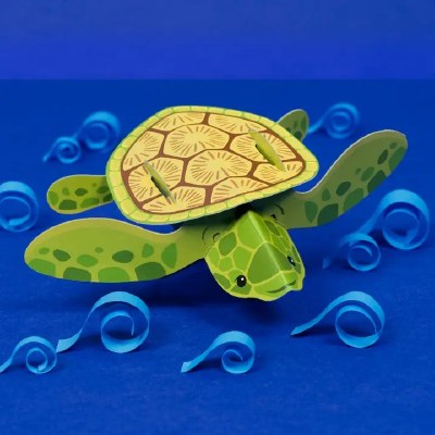 Create Your Own Tiny Sea Turtle Kit