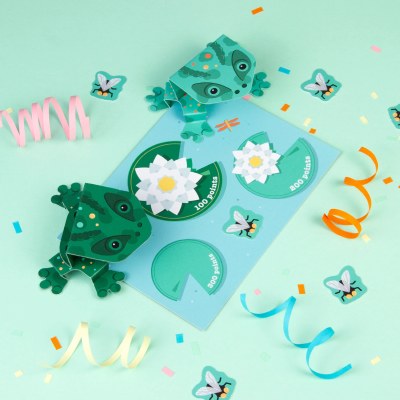 Create Your Own Jumping Frogs Craft Kit