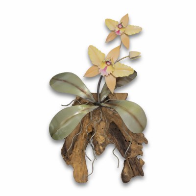 14" x 8" Small Multicolor Cattaleya Orchid With Gamal Wood Coastal Wall Art Plaque MM935