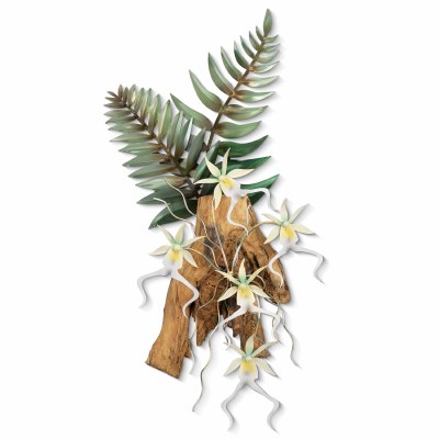 22" x 11" Metal Ghost Orchids on Gamal Wood Coastal Wall Art Plaque MM938