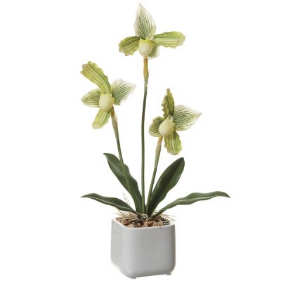 16" Faux Three Green Lady's Slipper Orchid in a White Ceramic Pot