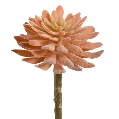 6" Faux Coral Aeonium Pick