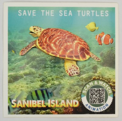 Sanibel Island Square Sea Turtle Swimming Sticker