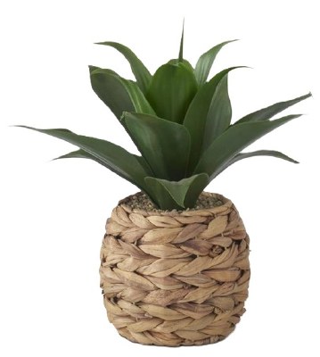 12" Faux Medium Green Succulent in a Woven Basket
