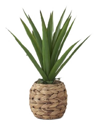 19" Faux Tall Green Succulent in a Woven Basket